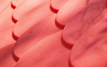 Shide plastic roof costs